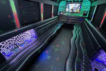 Brownsville Limo Bus Interior